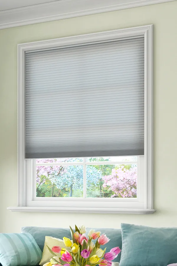 Cellular Shades